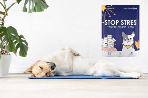 a5fc601c9b3b36ba240d2478cd3fb4b4