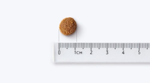 59b584f50989870811d4b25fd1f02516