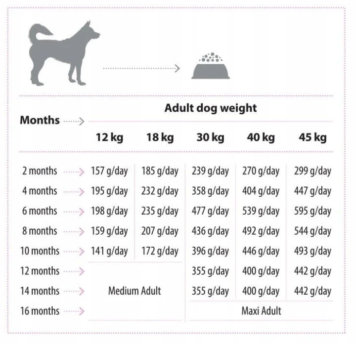 2f668f0dd1f0ac362489f8cc0b83ec4f