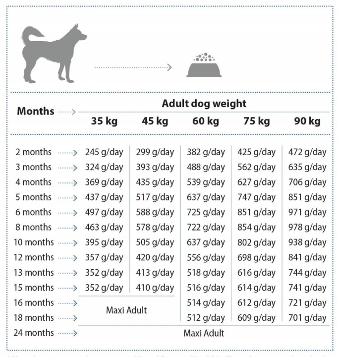 89e93901e9534b87ddd1b780f0986fde